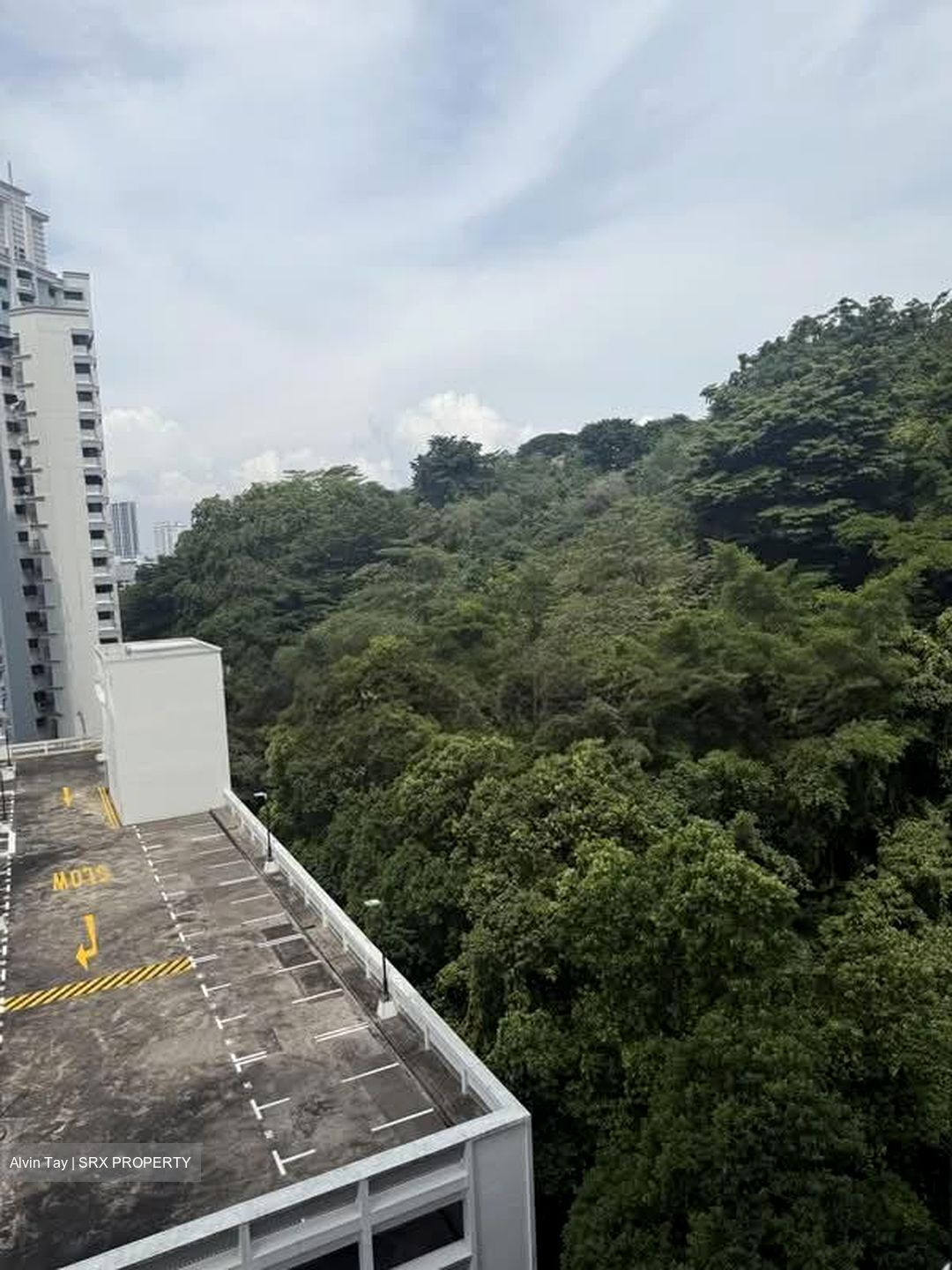 Blk 106A Depot Heights (Bukit Merah), HDB 4 Rooms #570202271